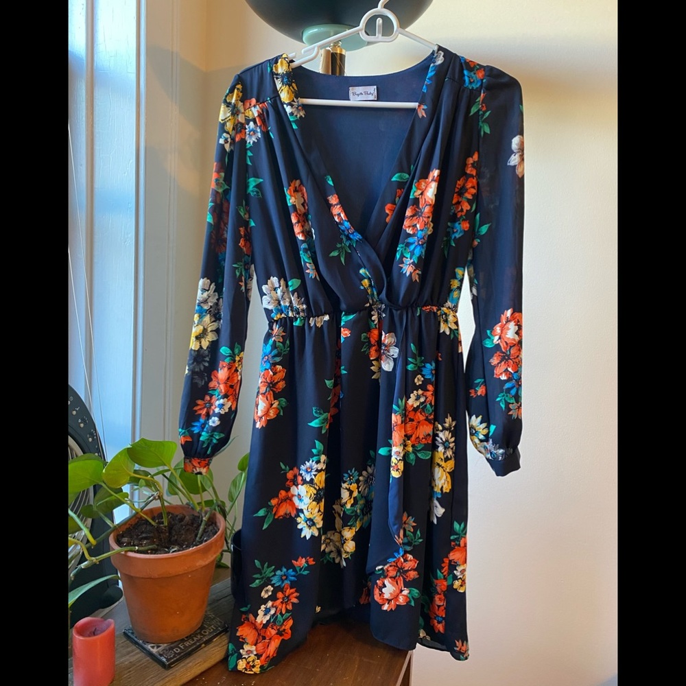 Beautiful Brigitte Bailey Dress.